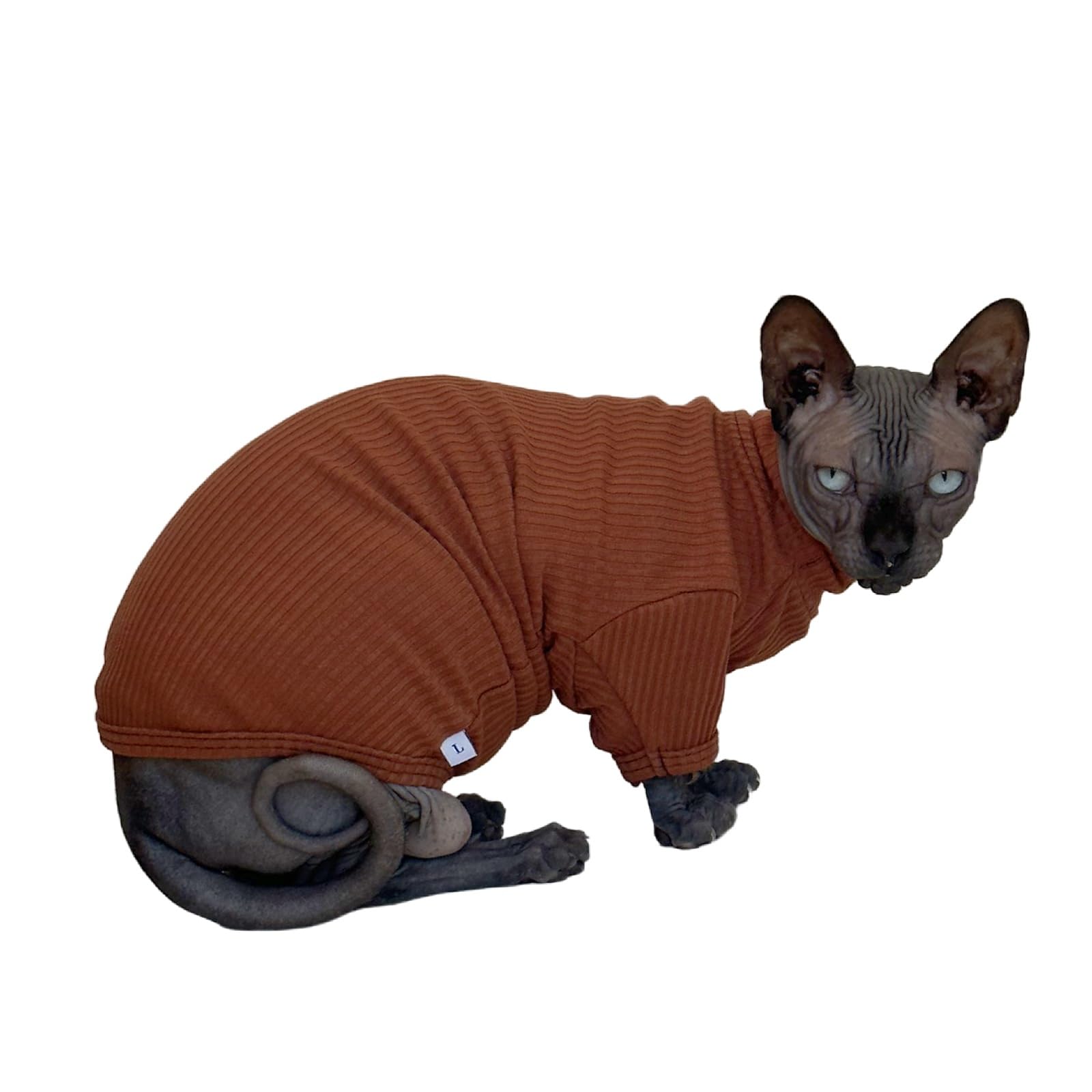 Kitipcoo Sphynx Hairless Cats Shirt Cat Turtleneck Sweater Long Sleeves Kitten T-Shirts For Sphynx Cornish Rex, Devon Rex, Peter