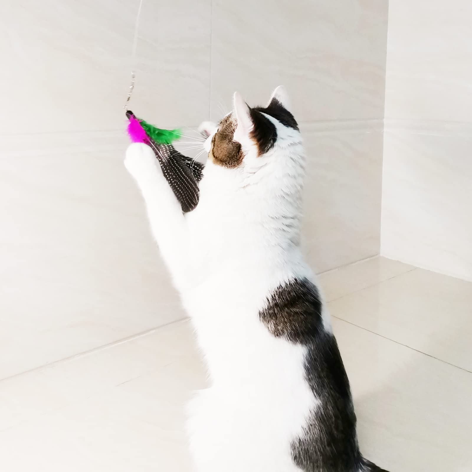 Tienailing Cat Feather Toys Replacement Cat Toy Wand Refills, 8 Pcs Natural Da Bird Feathers Refill, Interactive Cat Wand Replacement Feathers For Cat Toys