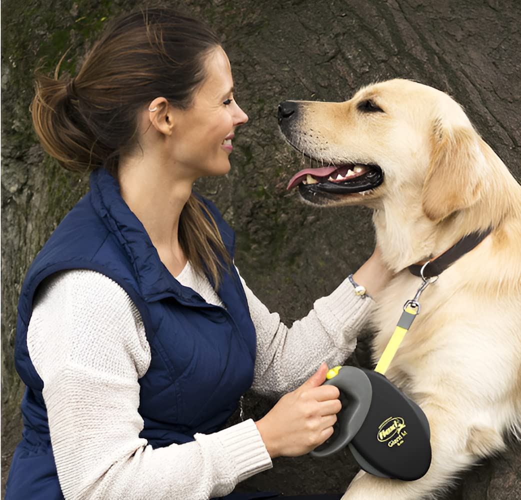 Flexi Bogdahn International Giant Neon Tape Dog Lead (8M) (Large/50Kg)