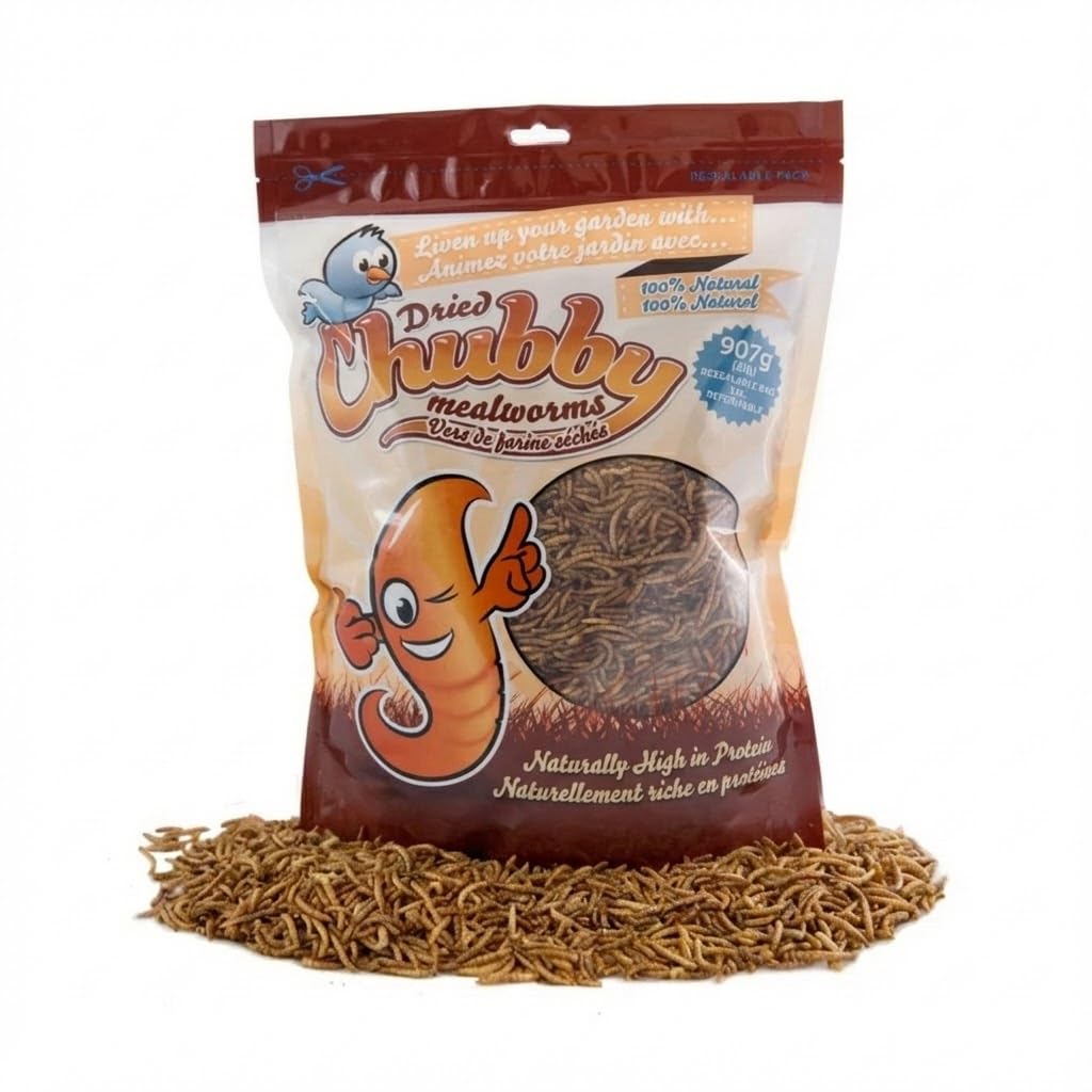 Chubby Dried Mealworms | 2  lbs | High-Protein Non-GMO Treats for Chickens, Ducks, Wild Birds & Backyard Pets