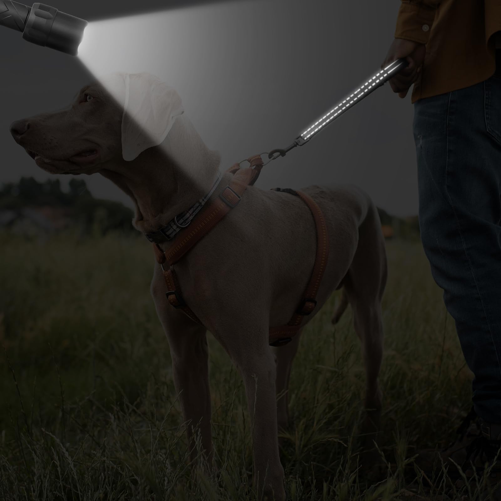 Dog Leash, Short Dog Leash, Leashes For Large Breed Dogs,Traffic Padded Handle- Reflective Training Lead, Perfect For Medium To