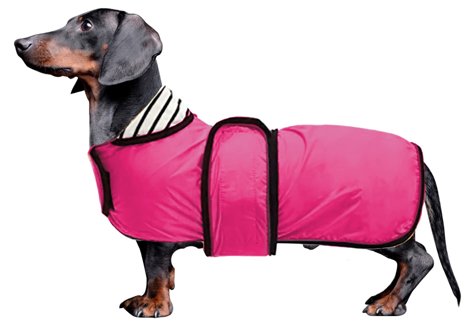 Dachshund Raincoat Waterproof, Perfect For Dachshund Sausage Weiner Long Back Breeds With Reflective Stripe Rain Coat For Dogs Great Coverage In Autumn Winter - Pink - L