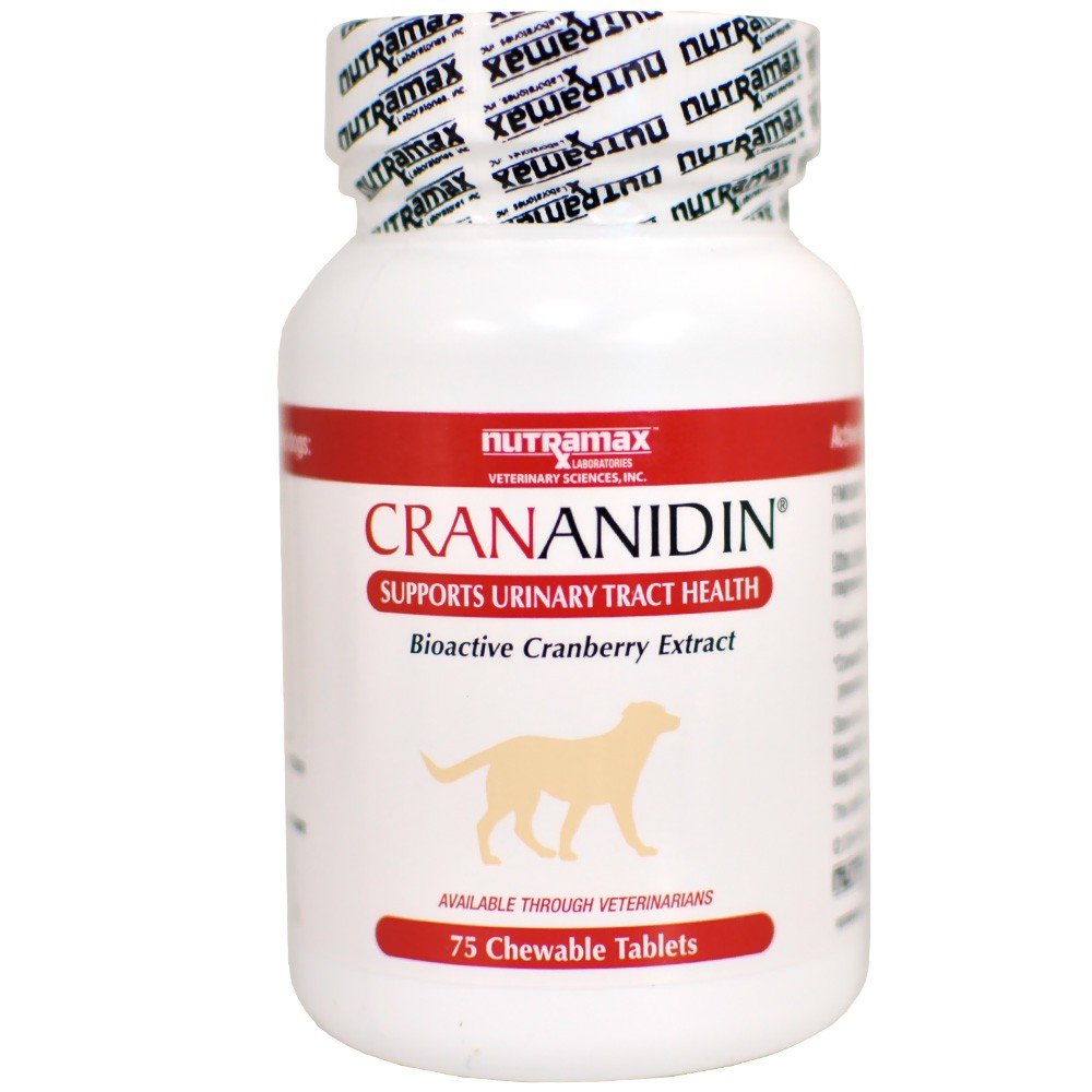 Nutramax Laboratories Crananidin Cranberry Extract Urinary Tract Health Supplement for Dogs, 75 Chewable Tablets