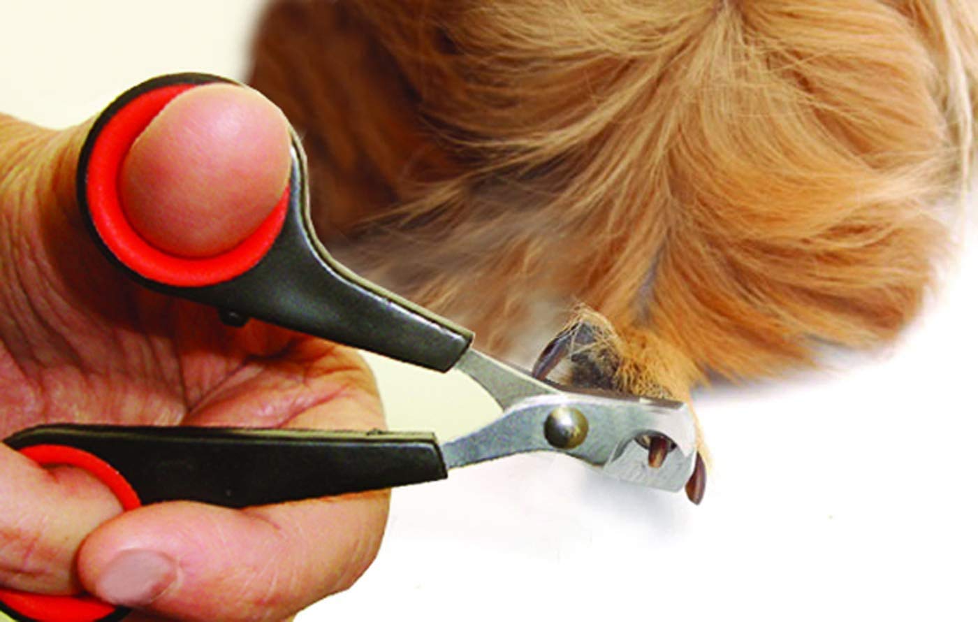 Lixit Grooming Kits For Rabbits, Guinea Pigs And Other Small Animals. (2 Piece Kit)