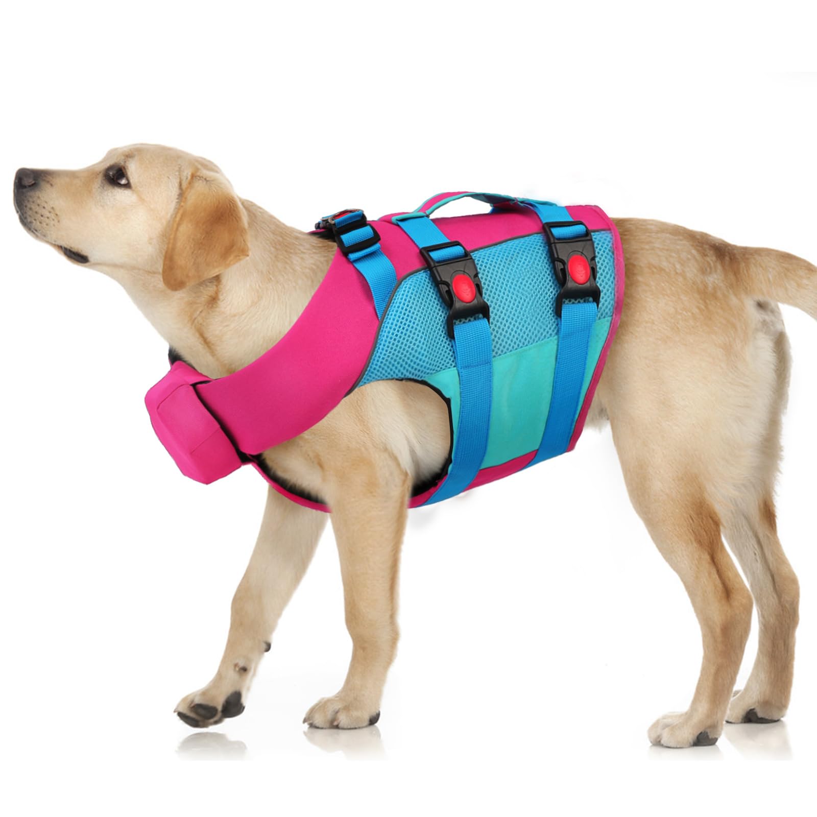 Asenku Dog Life Jacket - Pet Safety Vest For Swimming & Boating, Shark Life Jacket With Floatation, Dog Lifesavers Swimsuits For