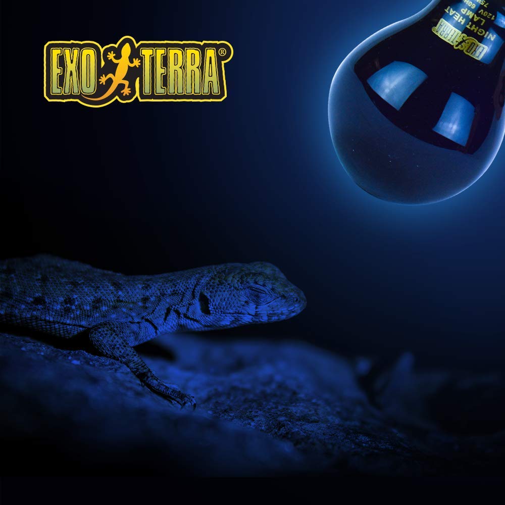 HC 75WT NIGHT-GLO REPTILE BULB