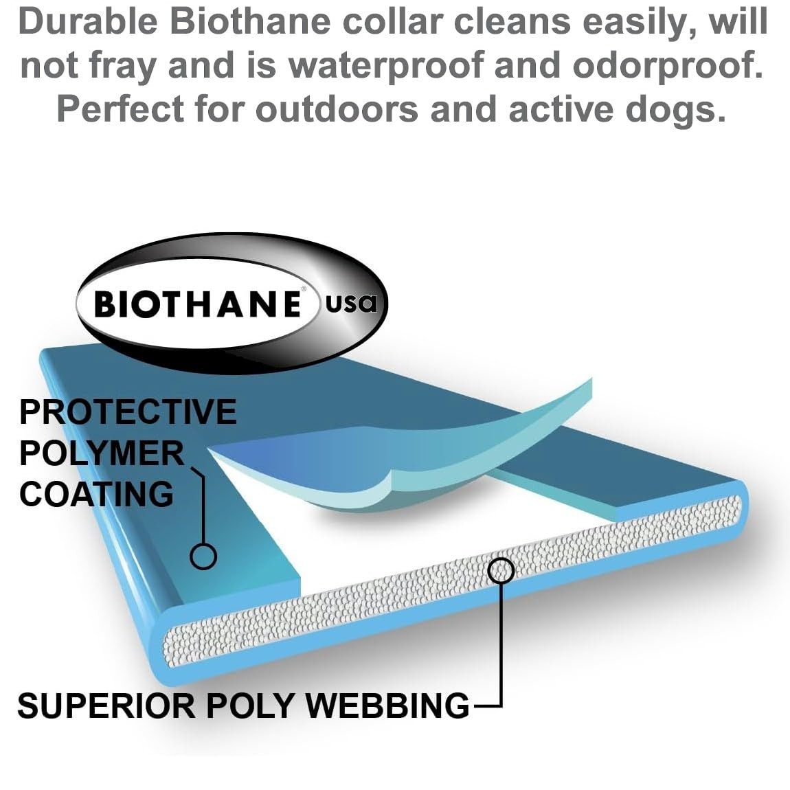 Educator Additional Receiver And Collar Compatible With All Educator Training Systems, Yellow