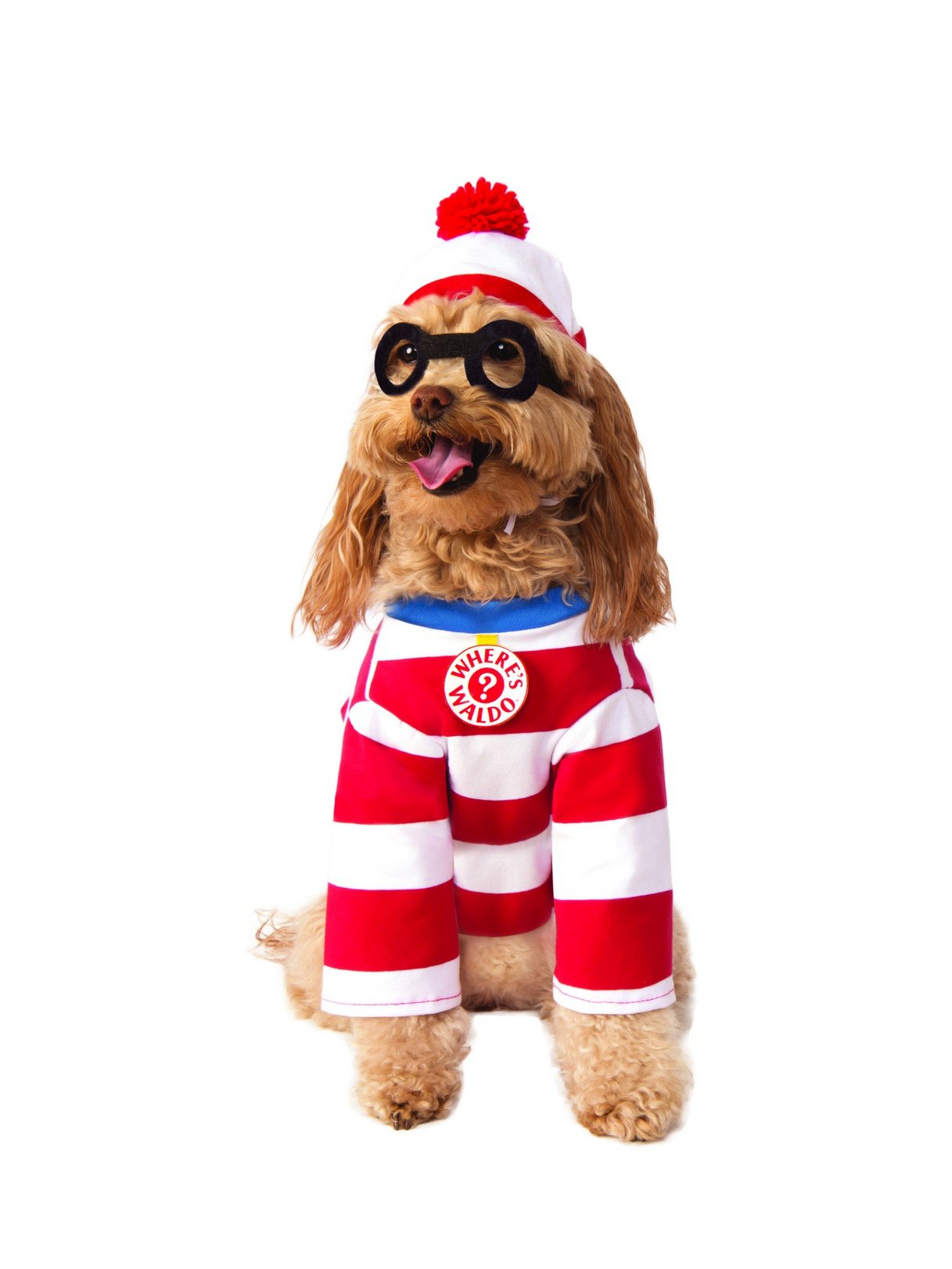 Wheres Waldo: Waldo Pet Costume for for Dogs or Cats by Rubies, Large