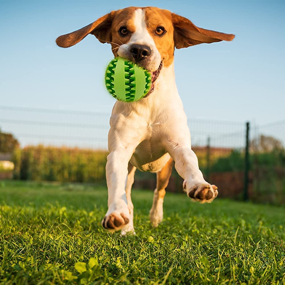 Pets Empire Dog Toys Balls Interactive Toys Dog Balls Rubber Toy For Boredom Large Dog Puppy Toys Puppy Training Treats Balls De