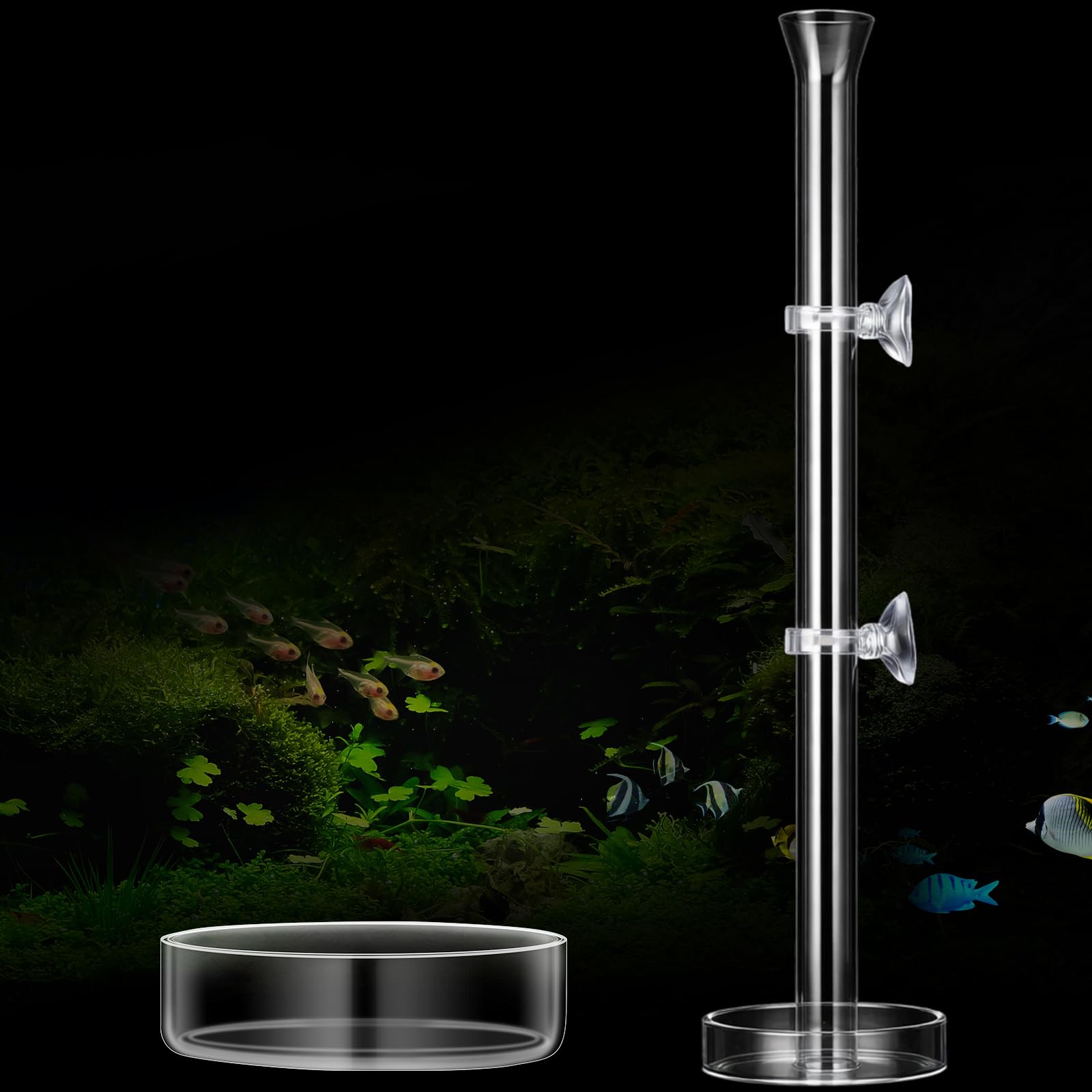 CHENGU 3 Pieces Shrimp Feeding Tube and Dish Set, 14 Inch Glass Shrimp Feeder Tube and 2 Aquarium Dish Bowl Fish Tank Feeding Su
