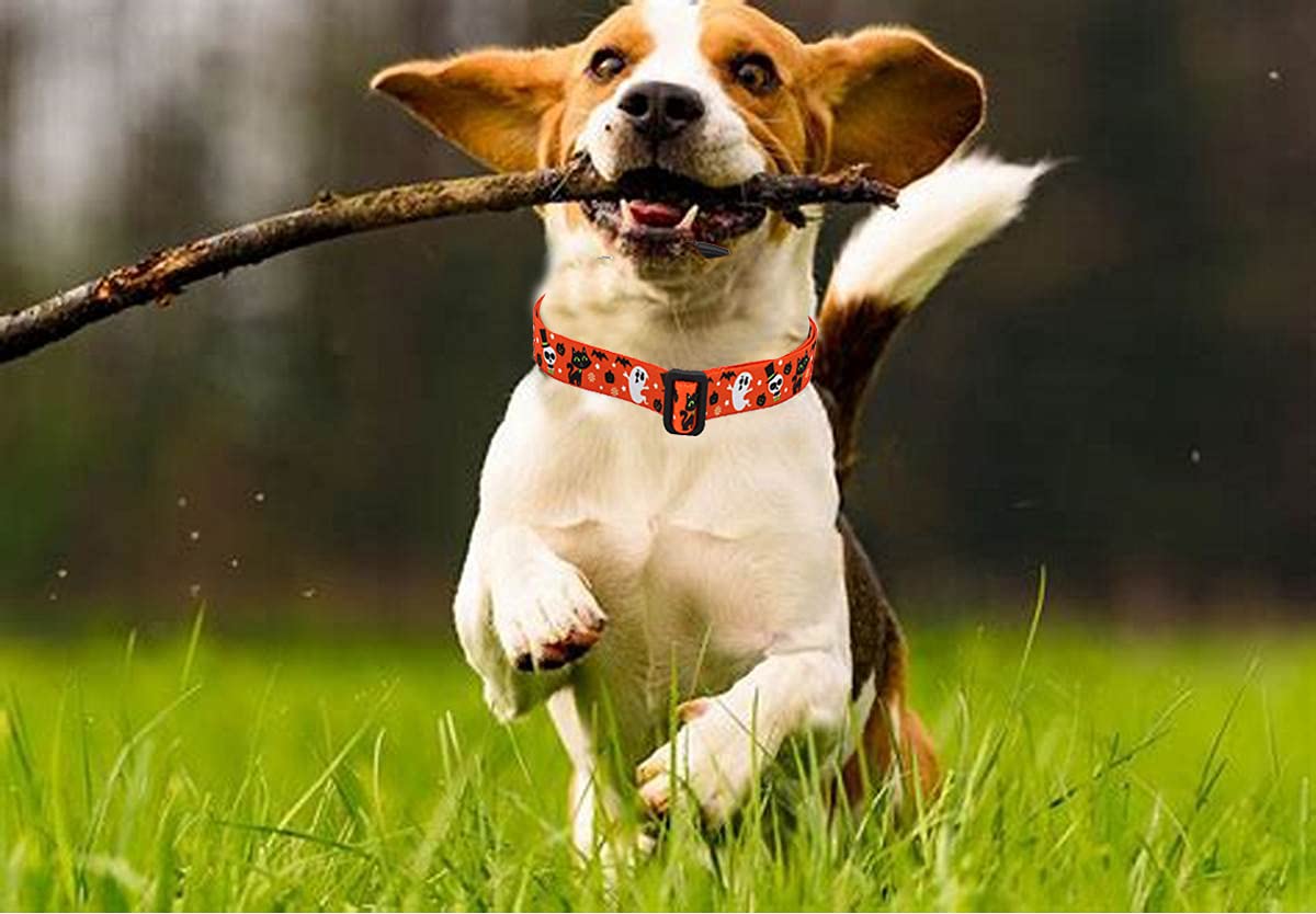 Mihqy Halloween Dog Collar - Pumpkin Bat Ghost Pattern - Adjustable For Small Medium Large Dogs(Halloween,S)