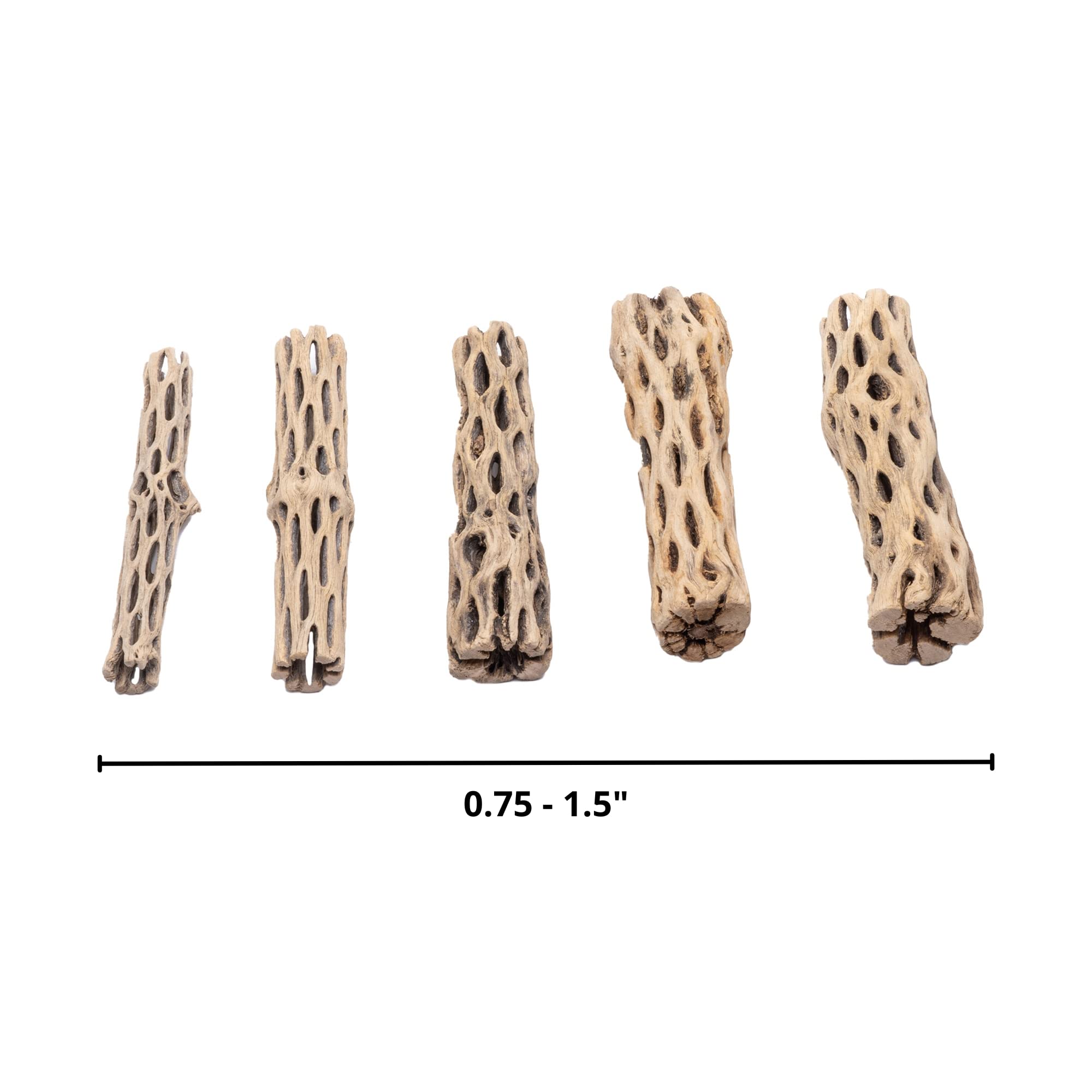 SubstrateSource Natural Cholla Wood Logs - Driftwood for Aquariums, Fish Tanks, Shrimp, Hermit Crabs, Reptiles - 4 and 6 Inch Pi