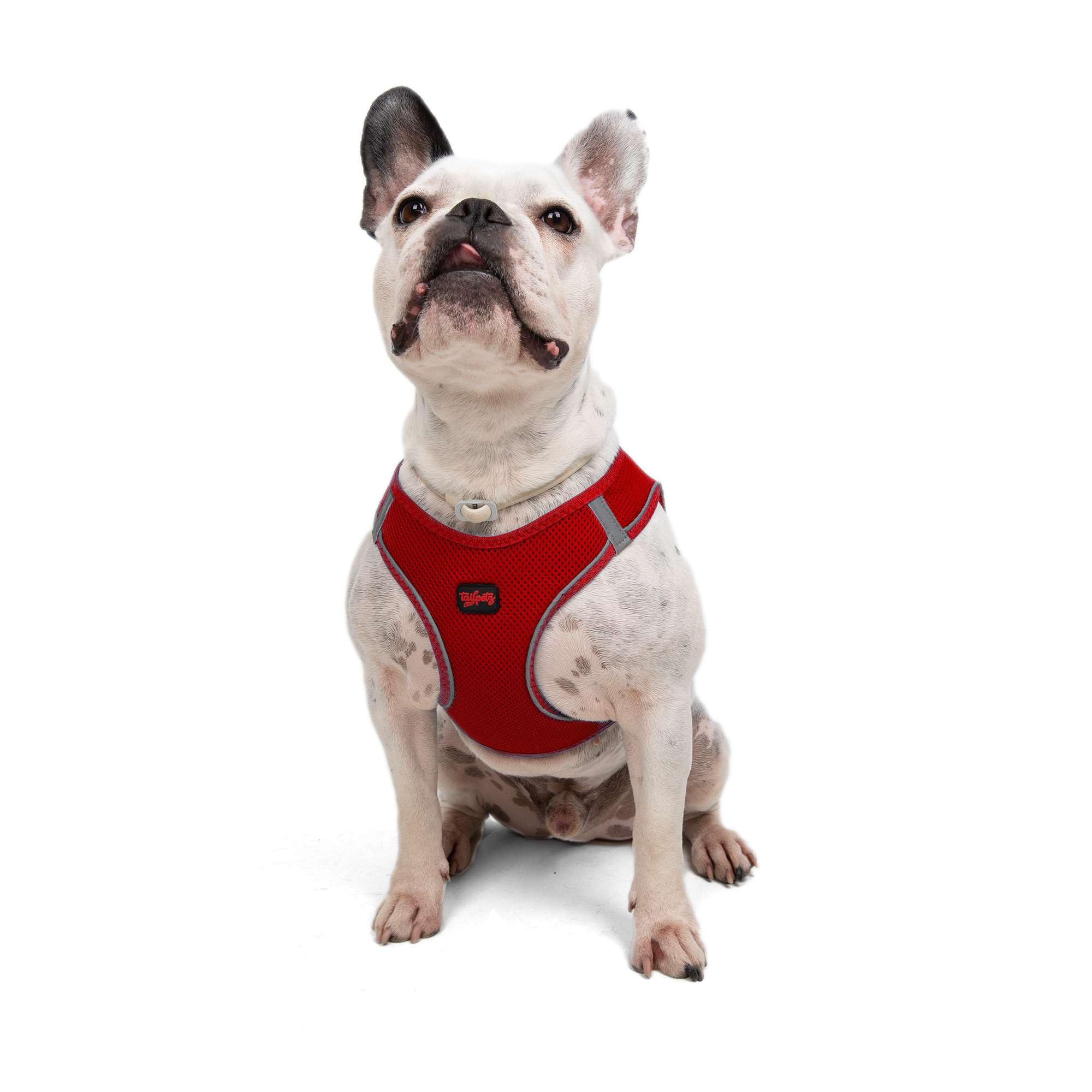 Tailpetz Red Dog Harness, Adjustable Step in No Pull Dog Harness for Large Dog, Reflective Puppy Harness for Puppy Training, Lar