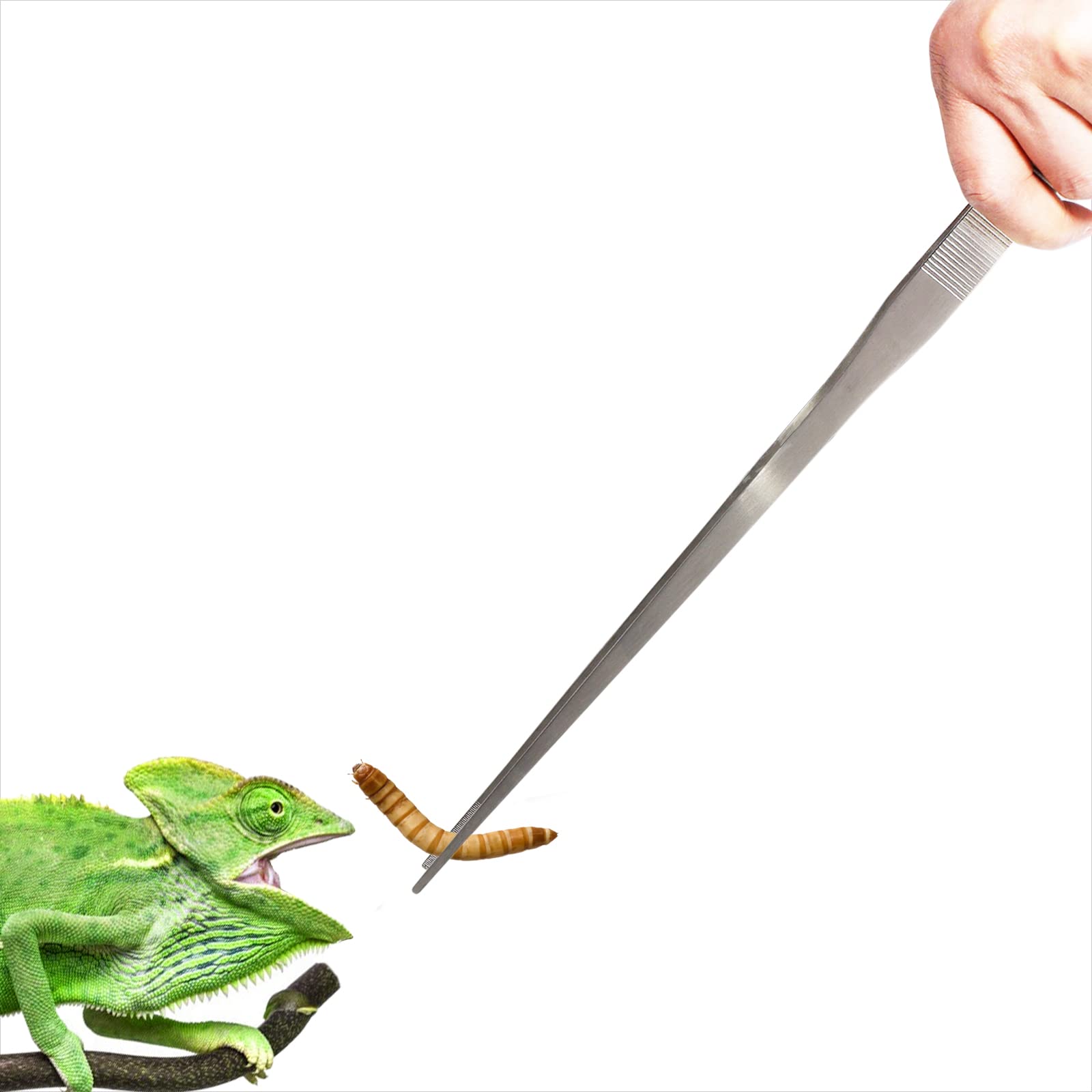 Dxobay 18.9 inch Heavy Duty Extra Long Tweezers for Salt & Fresh Water, Straight 18/8 Stainless Steel Reptile Feeding Tongs for 