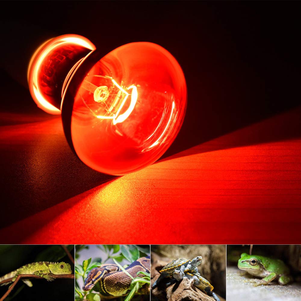 Maotopcom Pet Supplies 100W Infrared Heating Lamp 2 Pack, 110V E27 Basking Spot Light Bulbs For Reptile And Amphibian, As Bearded Dragons, Turtles, Ball Pythons, Red