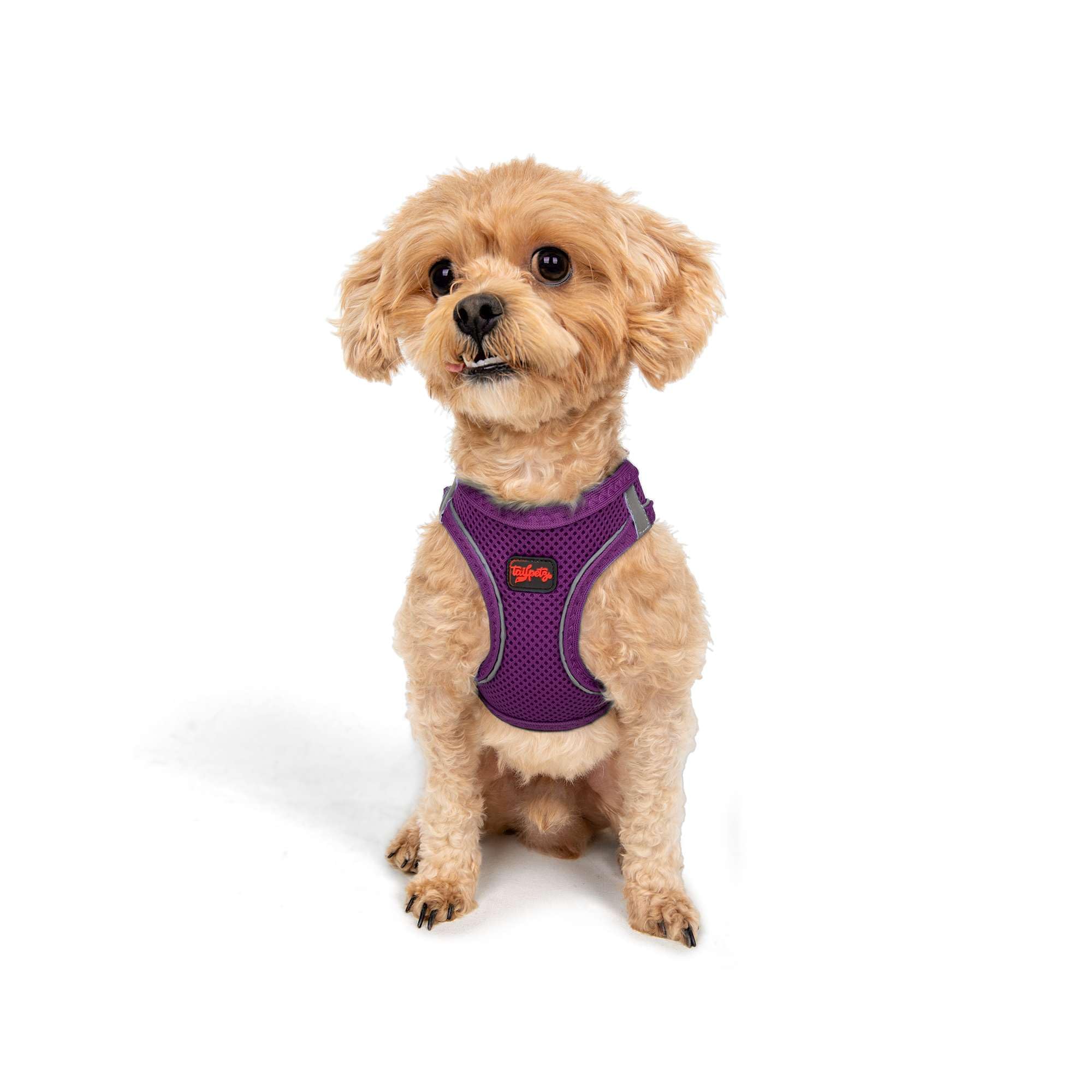 Tailpetz Dog Harness with Breathable Mesh, Reflective, Step-in, No Pull Dog Vest Harness for Small and Medium Dogs and Cats, Pur