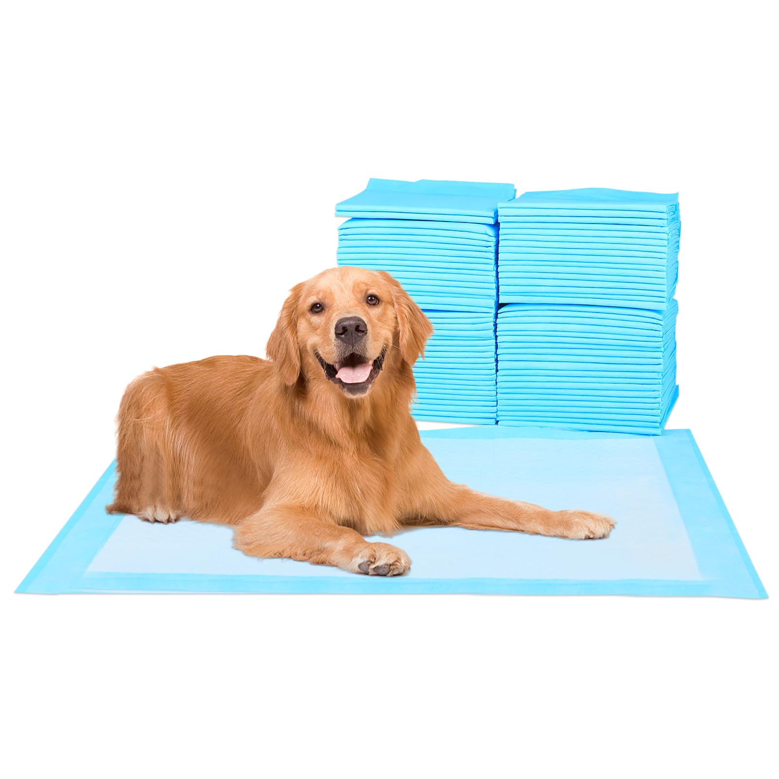 Super Absorbent Waterproof Dog and Puppy Pet Training Pad, Housebreaking Pet Pad, 50-Count Extra Middle-Size, 28X34, Blue