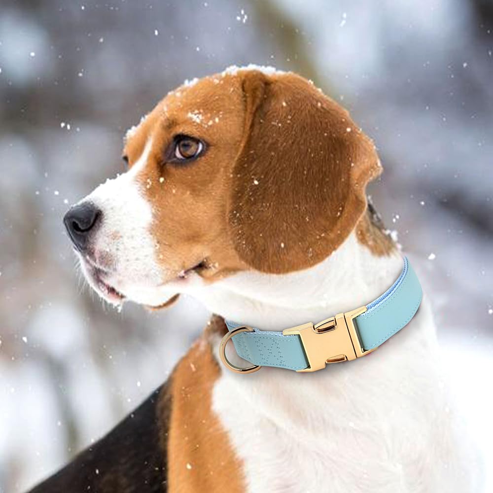 Pet Artist Charming Nylon Dog Collar With Leather Soft Comfy Elegant Nylon Collars For Dogs Small Medium Large 4 Bright Solid Color For Choosing Blue Red Brown Grey (Blue,Neck Fit 13-19'')