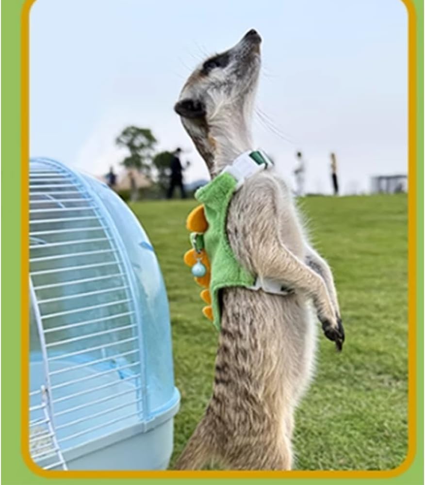 Mqqylbhds Ferret Harness And Leash Set Small Animals Vest Harness With Safe Bell Dinosaur Shaped Walking Clothes For Baby Rabbit
