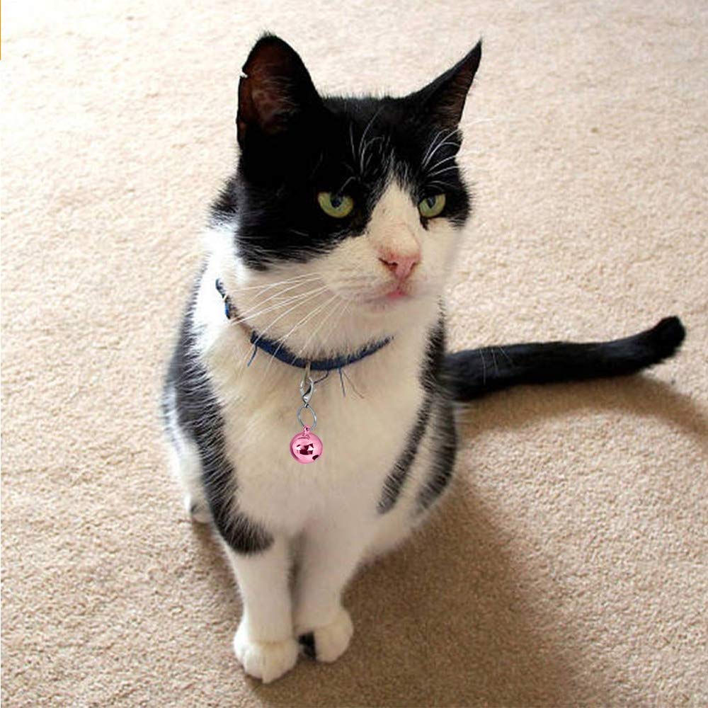 Ivia Pet4 Sets Cat Bell For Dog Collar Charm Training Pet Pendant Accessories With 2 Pack Stainless Steel Dog Tag Clips(2 Small Pink)