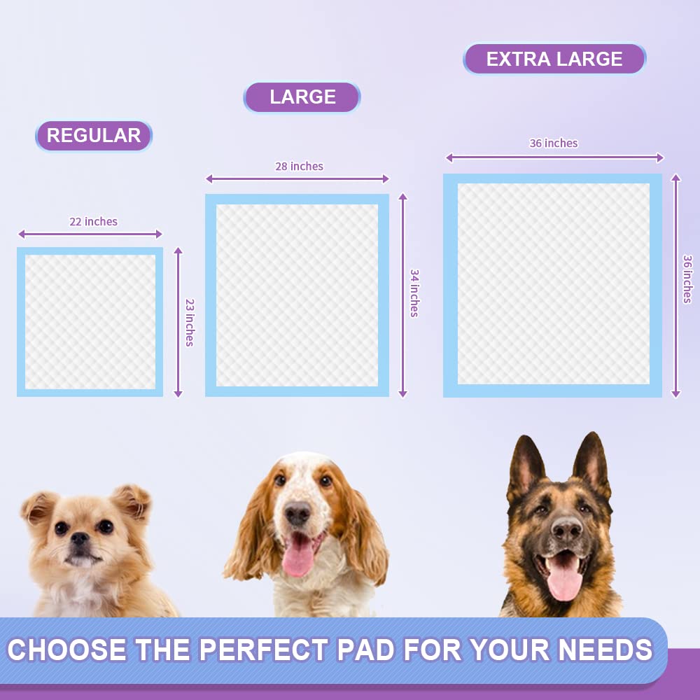 Immcute Puppy Pee Pads 22'X23'-150 Count | Dog Pee Training Pads Super Absorbent & Leak-Proof | Disposable Pet Piddle And Potty Pads For Puppies | Dogs | Doggie| Cats | Rabbits