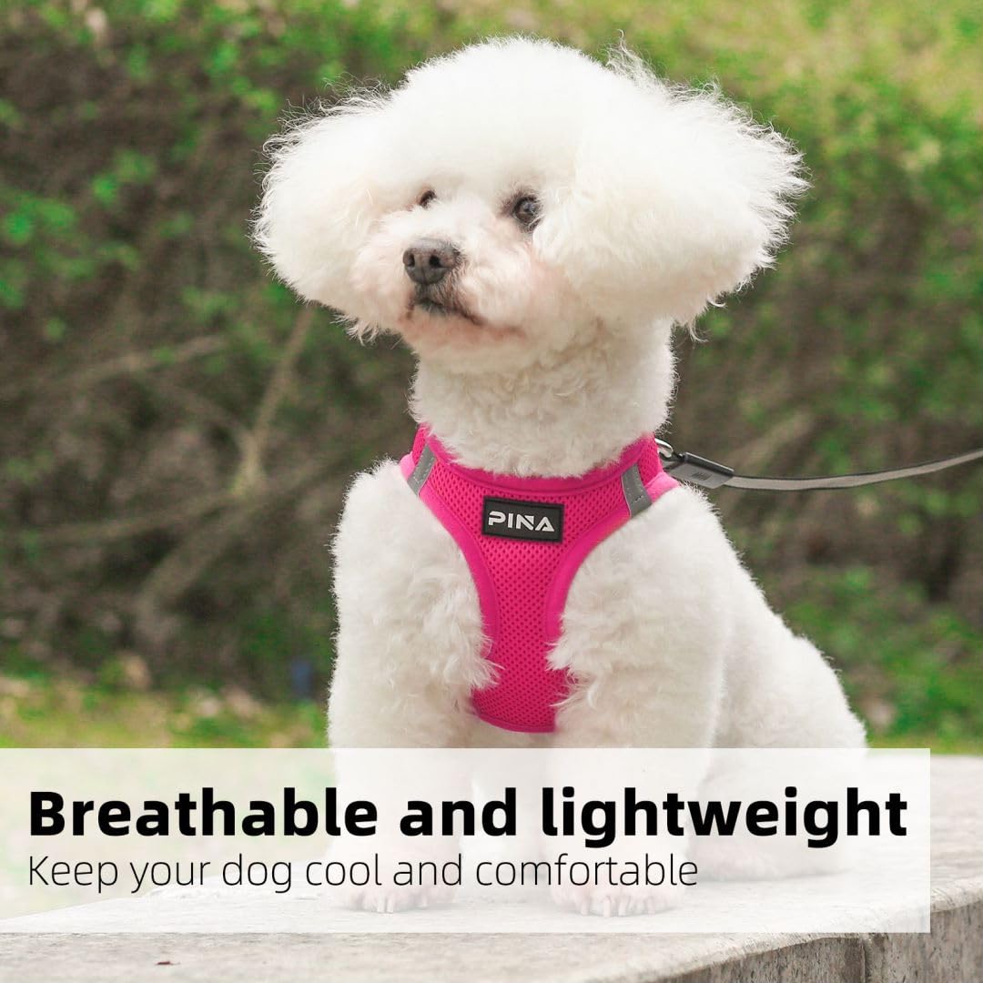 Pina Dog Harness And Leash Set For Small To Medium Dogs - No Pull, No Choke, Breathable Mesh Vest - Lightweight, Adjustable, Eas