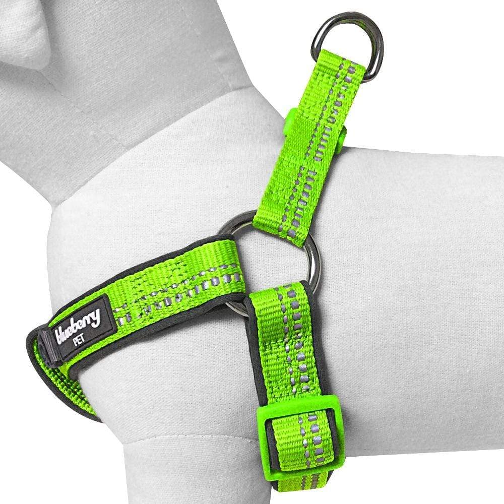 Blueberry Pet Soft & Comfy 3M Reflective Step-In Pastel Color Padded Dog Harness, Chest Girth 15.5' - 19.5', Green Flash, Small, Adjustable Harnesses For Dogs