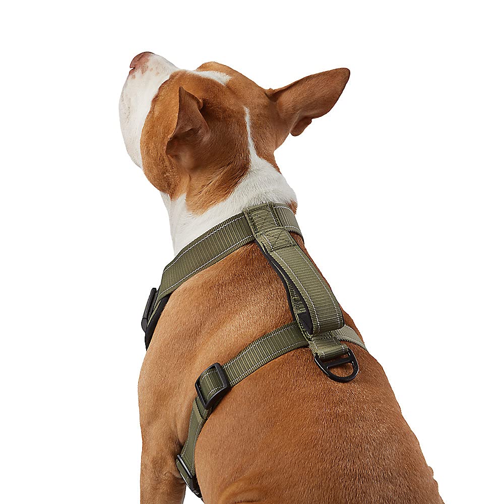 Kong Max Ultra Durable Neoprene Padded Chest Plate Dog Harness Offered By The Barker Company (Green, Small)
