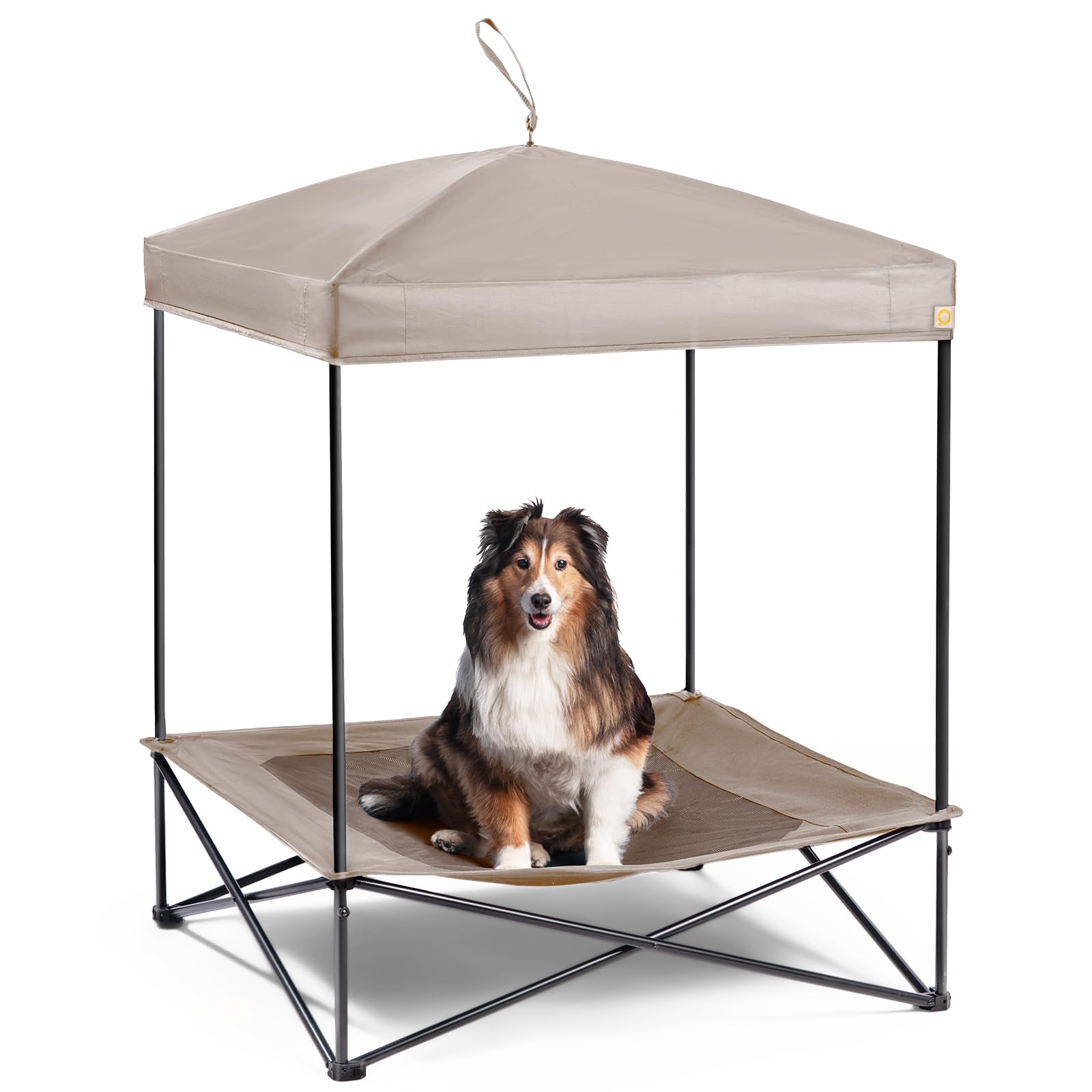 CANINE CANYON Piper Pop-Up Canopy Cot - Large Foldable Elevated Dog Bed with Waterproof Shade, Cooling Mesh, Heavy Duty up to 11