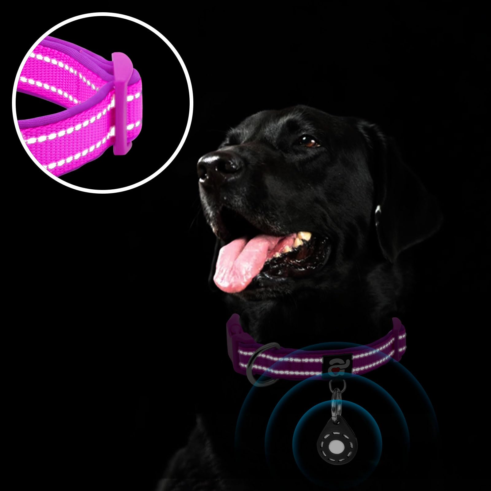 Azuza Reflective Dog Collar With Airtag Holder, Soft Neoprene Padded Pet Collar With Id Tag Ring, Adjustable For Small Dogs,Purp