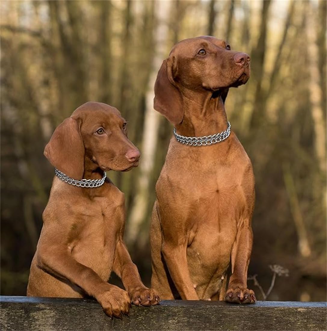 Silver Dog Choker Collar,2 Rows Stainless Steel Dog Chain Cuban Link Metal Martingale Collar Heavy Duty Training Choke Collar Fo