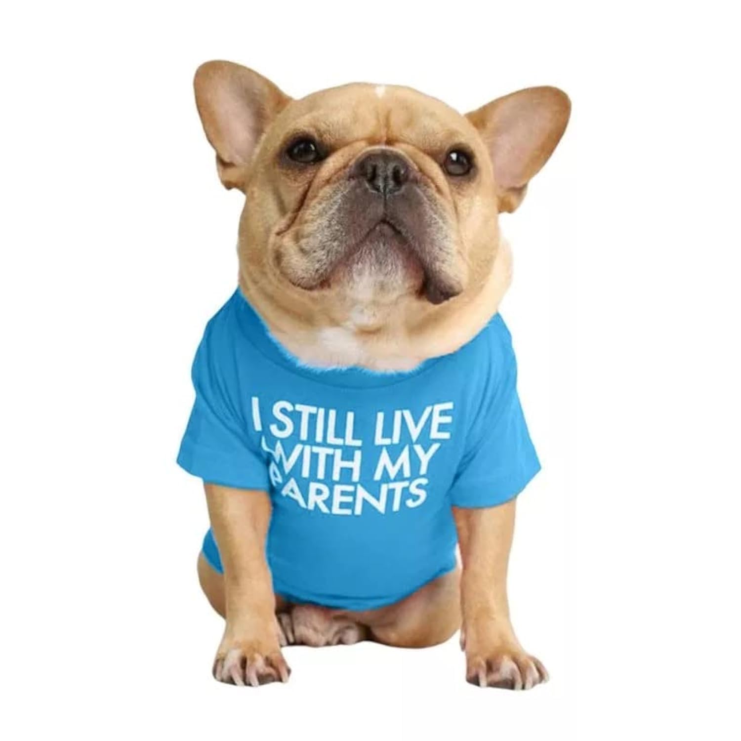 Kutkut Pet Dog Breathable Stretchy Round Neck T-Shirt I Still Live With My Parents Small Dog Cats Summer Soft Cotton Tshirt|(Siz