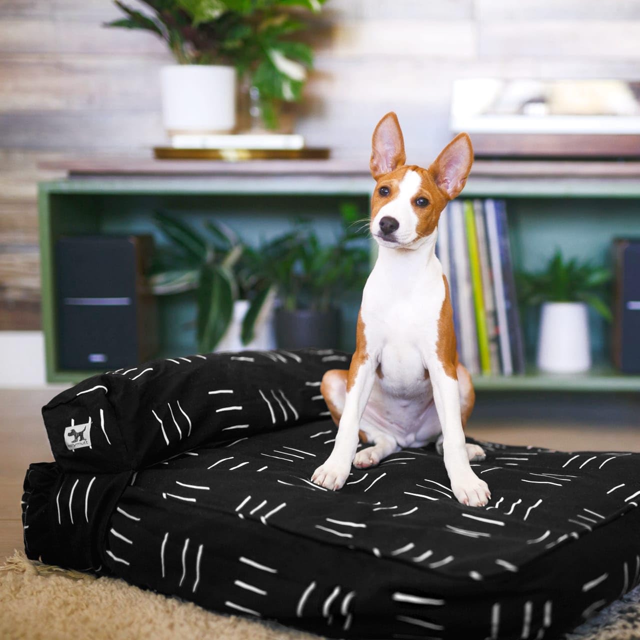 Molly Mutt Small Dog Bed Cover - Dreams - Measures 22''X27''X5''- 100% Cotton - Durable - Breathable - Sustainable - Machine Was