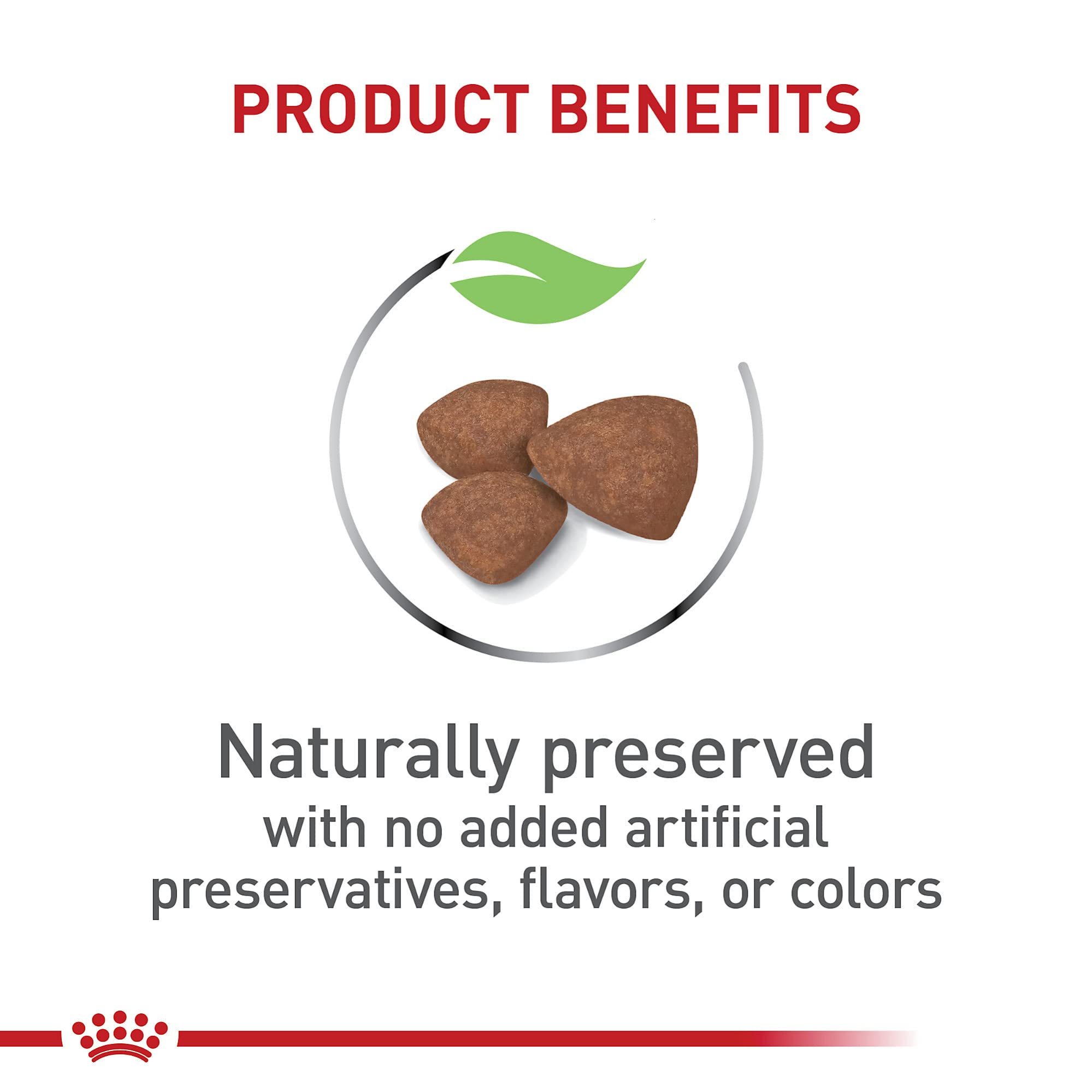 Royal Canin Size Health Nutrition Small Breed Dry Puppy Food, Supports Brain Development, Immune Support, and Digestive Health,