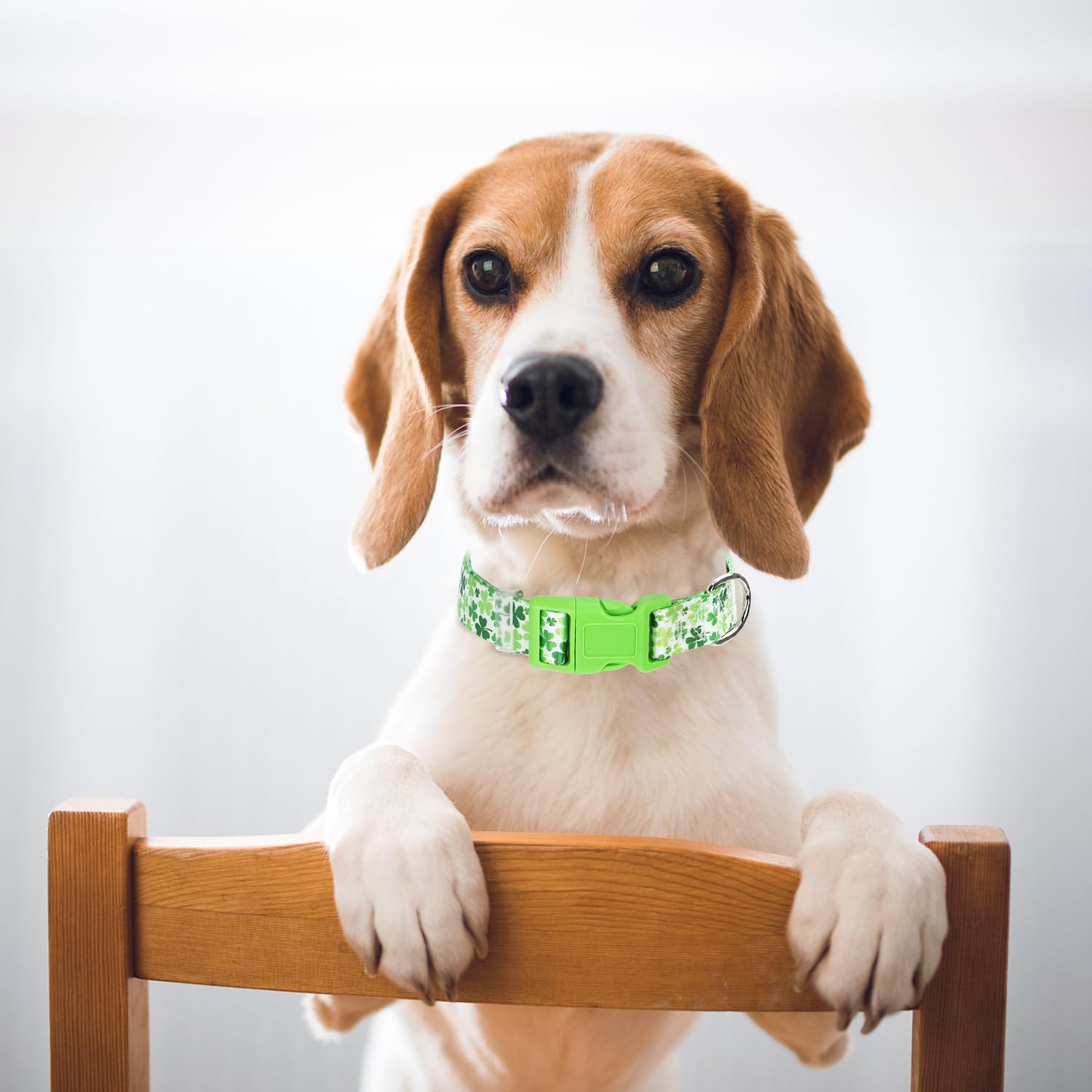 Dog Collars For Puppy Small Dogs With Irish Green Shamrock Clovers Design For Boy & Girl Dogs, Adjustable Heavy Duty Nylon Colla