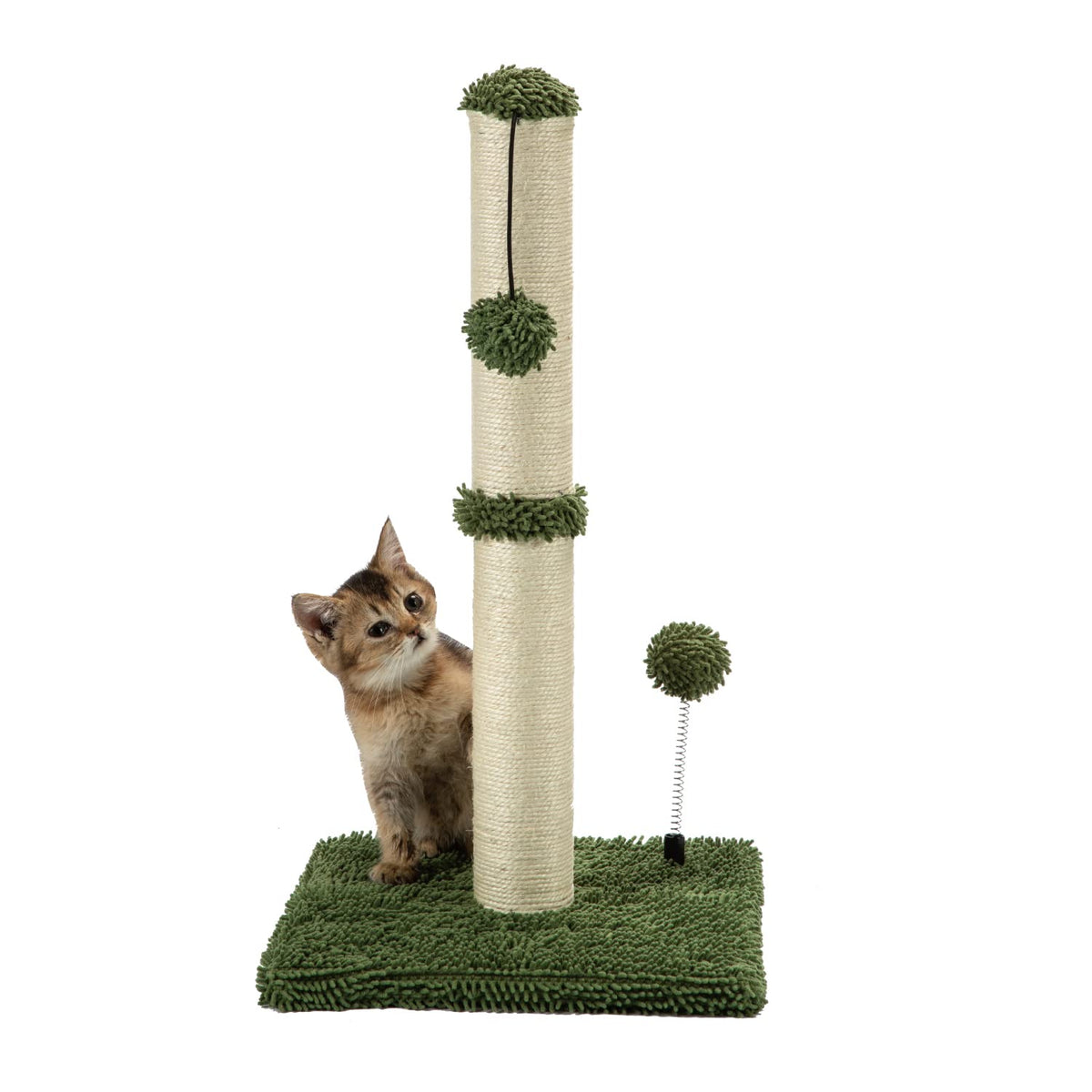 Mecool Cat Scratching Post Premium Basics Kitten Scratcher Sisal Scratch Posts With Hanging Ball 22In For Kittens Or Smaller Cats (22 Inches For Kitten, Cactus Green)