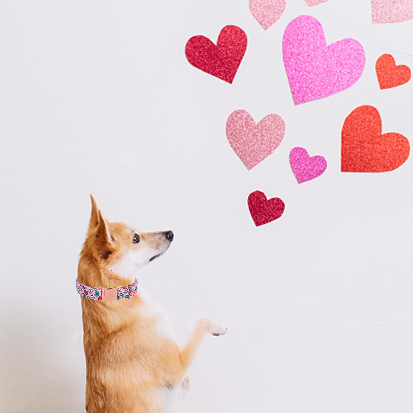 Up Urara Pup Valentine'S Dog Collar, Heart Dog Collar For Small Medium Large Girl Boy Dogs Or Cats, Wedding Dog Collar Match Dog