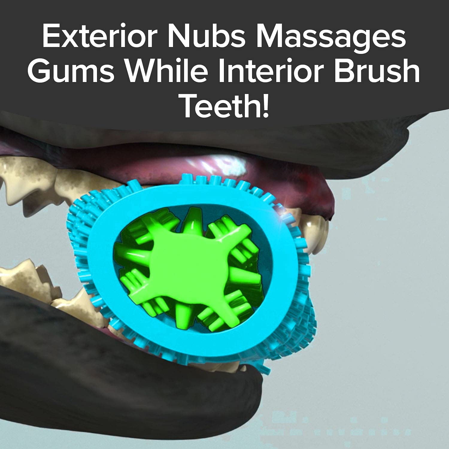 BulbHead Toothbrush, Dogs Chewing, Plaque and Tartar Remover for Teeth, Invented by a Dentist & His Hygienist Wife, 8 in. x 2 in