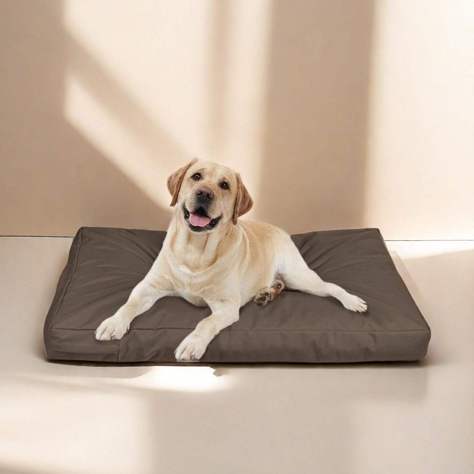 Fashion My Day Dog Crate Mattress Cover with Zipper Dog Bed Cover for Camping Picnic Indoor S