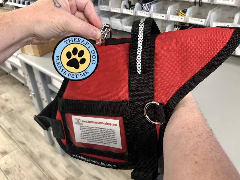 Therapy Dog Identification Patch Tag | Hangs From Therapy Dog Vest Or Therapy Dog Leash | Double Sided