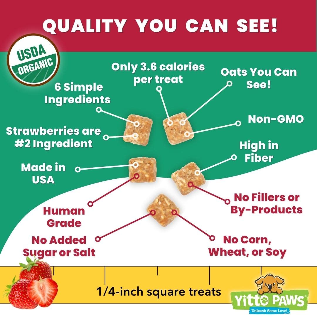 Crunchy Mini Organic Dog Training Treats - Oats, Strawberries & Peanut Butter - Healthy Puppy Treats, Vegan All Natural Made in