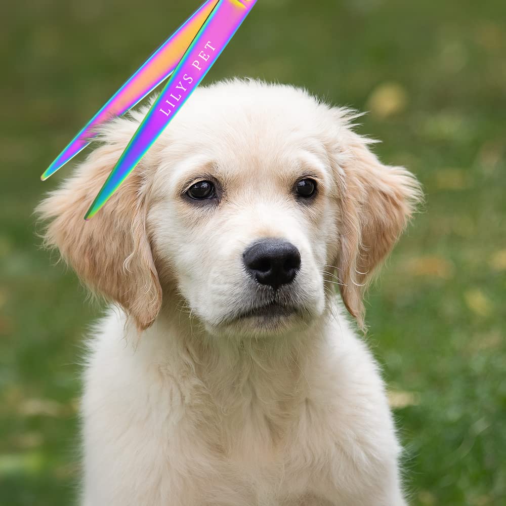 Lilys Pet High-End Series Japan 440C Stainless Steel Professional Pet Grooming Scissors Set,Rainbow Color,Cutting&Thinning&Two-Way Curved Shears Set (8.0')