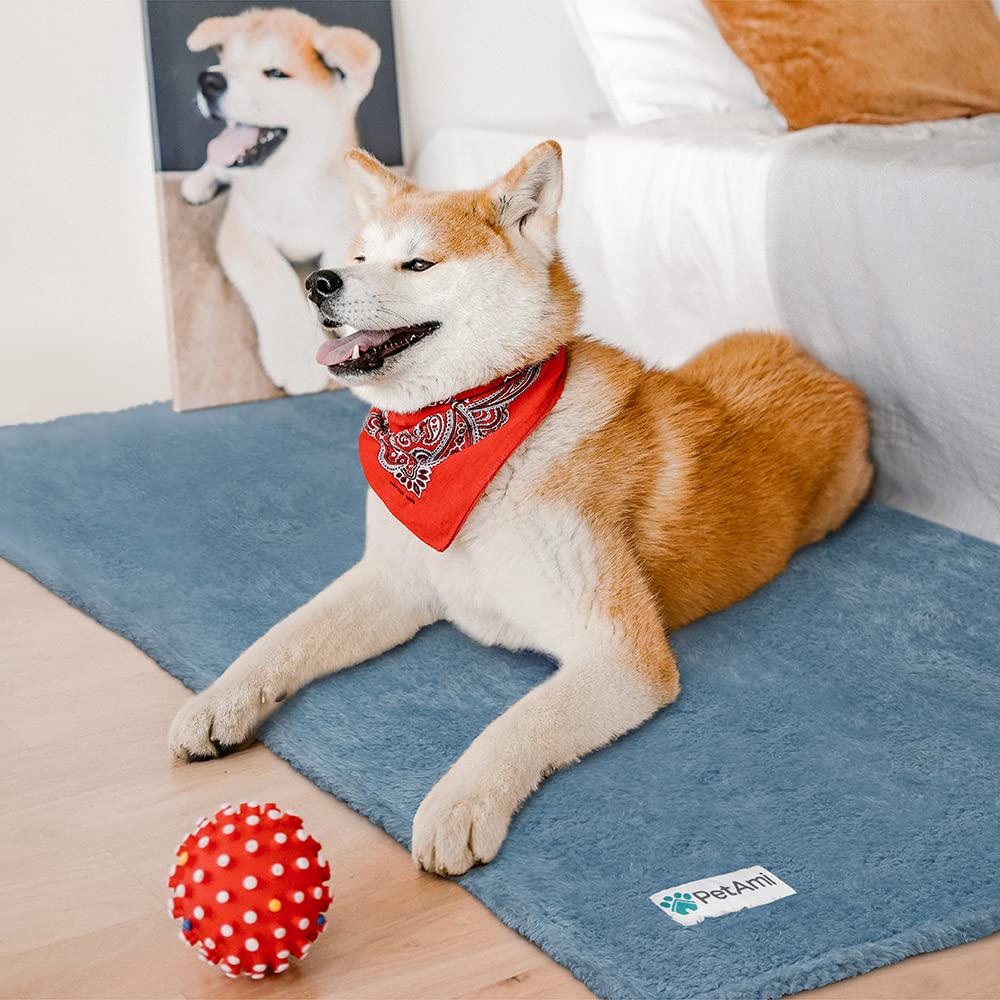 Petami Fluffy Dog Blanket For Small Medium Large Dogs, Sherpa Soft Warm Pet Fleece Throw For Indoor Cats, Fuzzy Plush Shaggy Blanket Furniture Protector Sofa Couch Bed, Blue 24X32