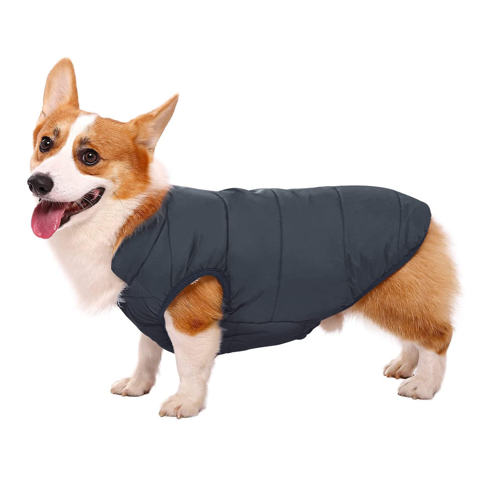 Asenku Windproof Dog Winter Jacket - Waterproof Coat With 2 Layers Fleece Lined For Small To Large Dogs (Xl, Blue)