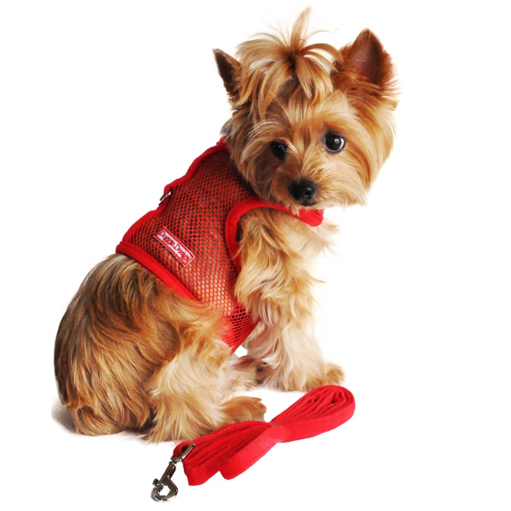 Red Cool Mesh Dog Harness with Leash by Doggie Design (Large)