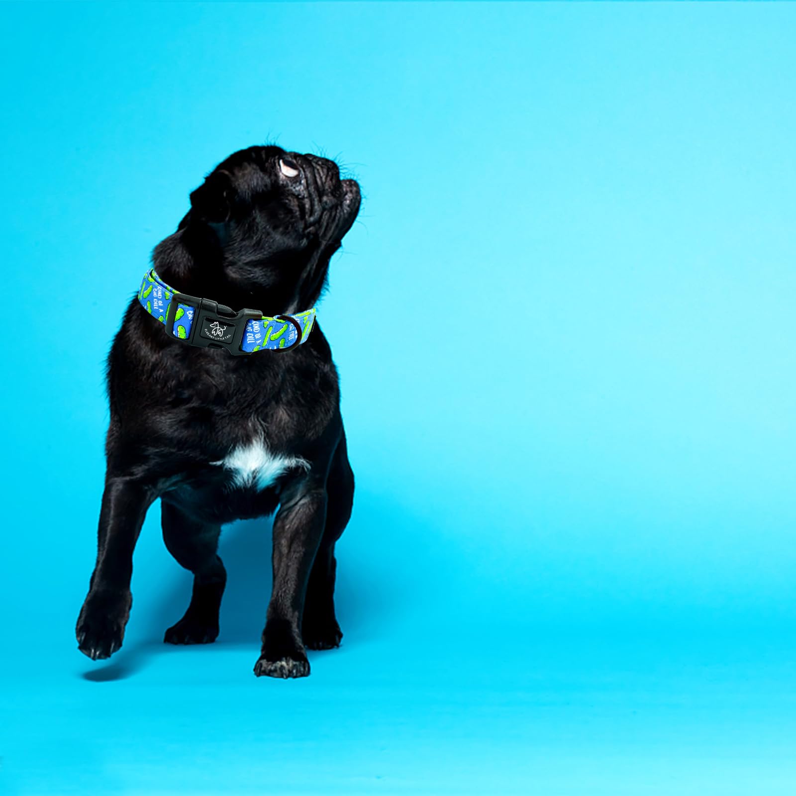 Elegant Little Tail Dog Collar, Pet Collar Blue Puppy Collar Plastic Durable Holiday Female Or Male Cotton Adjustable Pet Collar