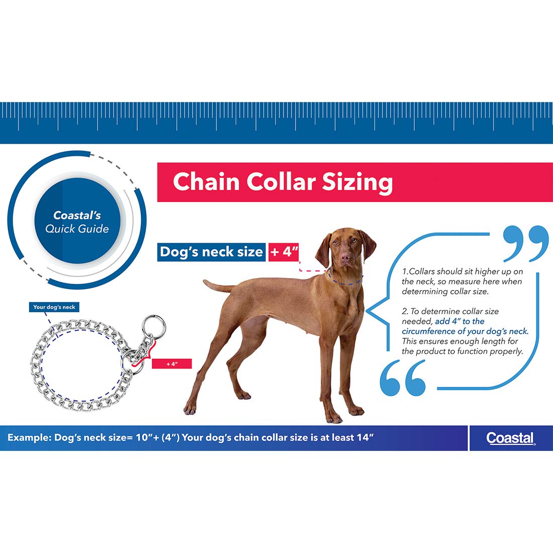 HERM SPRENGER Dog Training Collar, 3.0 mm x 21", Chrome Plated Silver Fur Saver Link for Long Hair Dogs, Model 00011 G3021