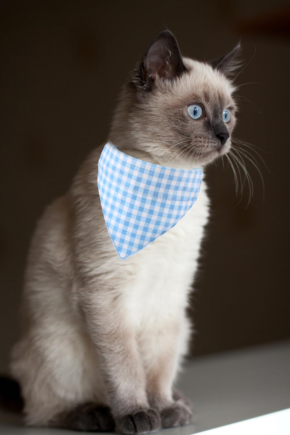 Cat Collars Breakaway With Bandana Bell Plaid Flower Pet Kitten Adjustable For Small Dog Puppies Girl Boy