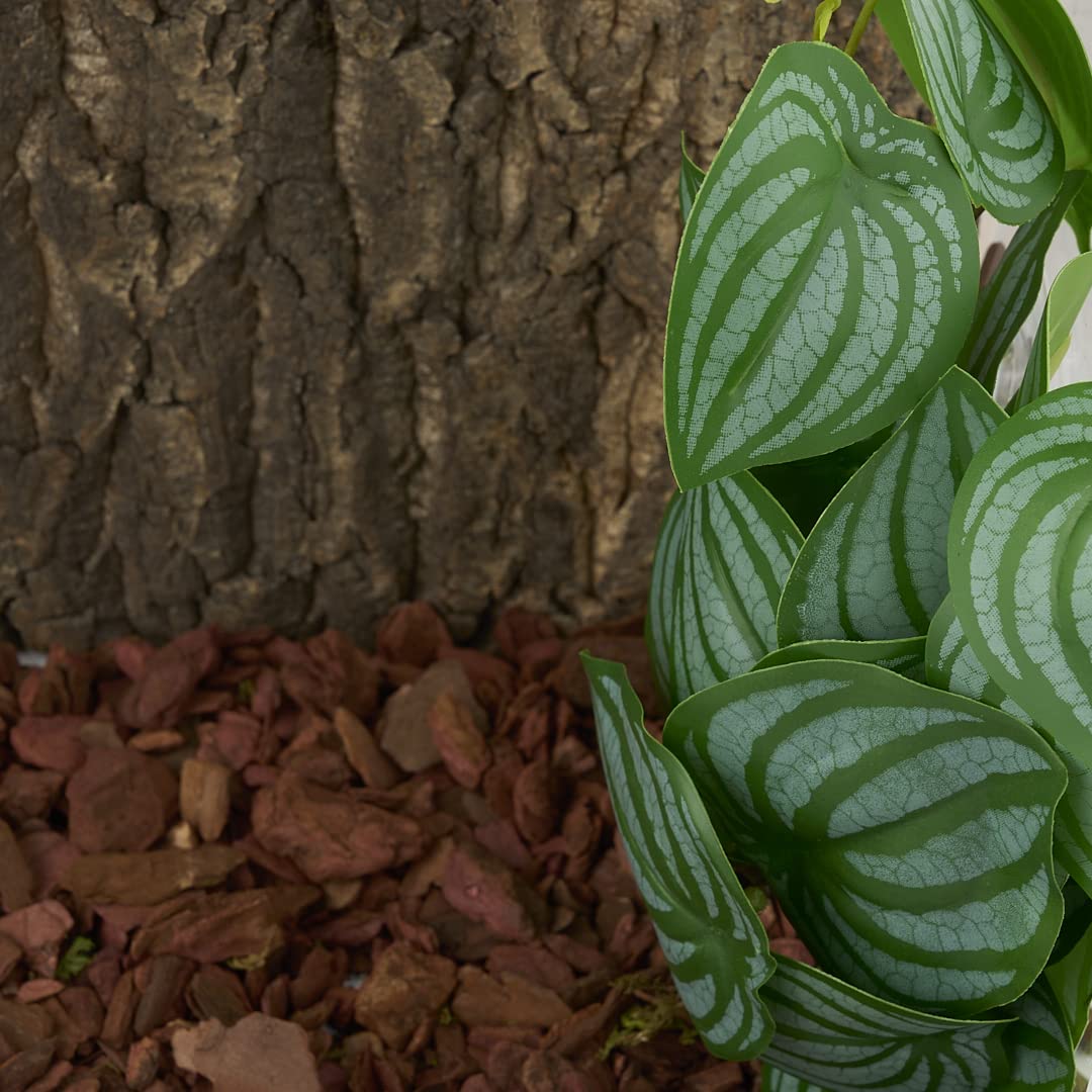 WOLEDOE Artificial Hanging Plants for Terrarium - Fake Calathea Orbifolia with Suction Cup, Perfect for Reptile & Amphibian Habitats
