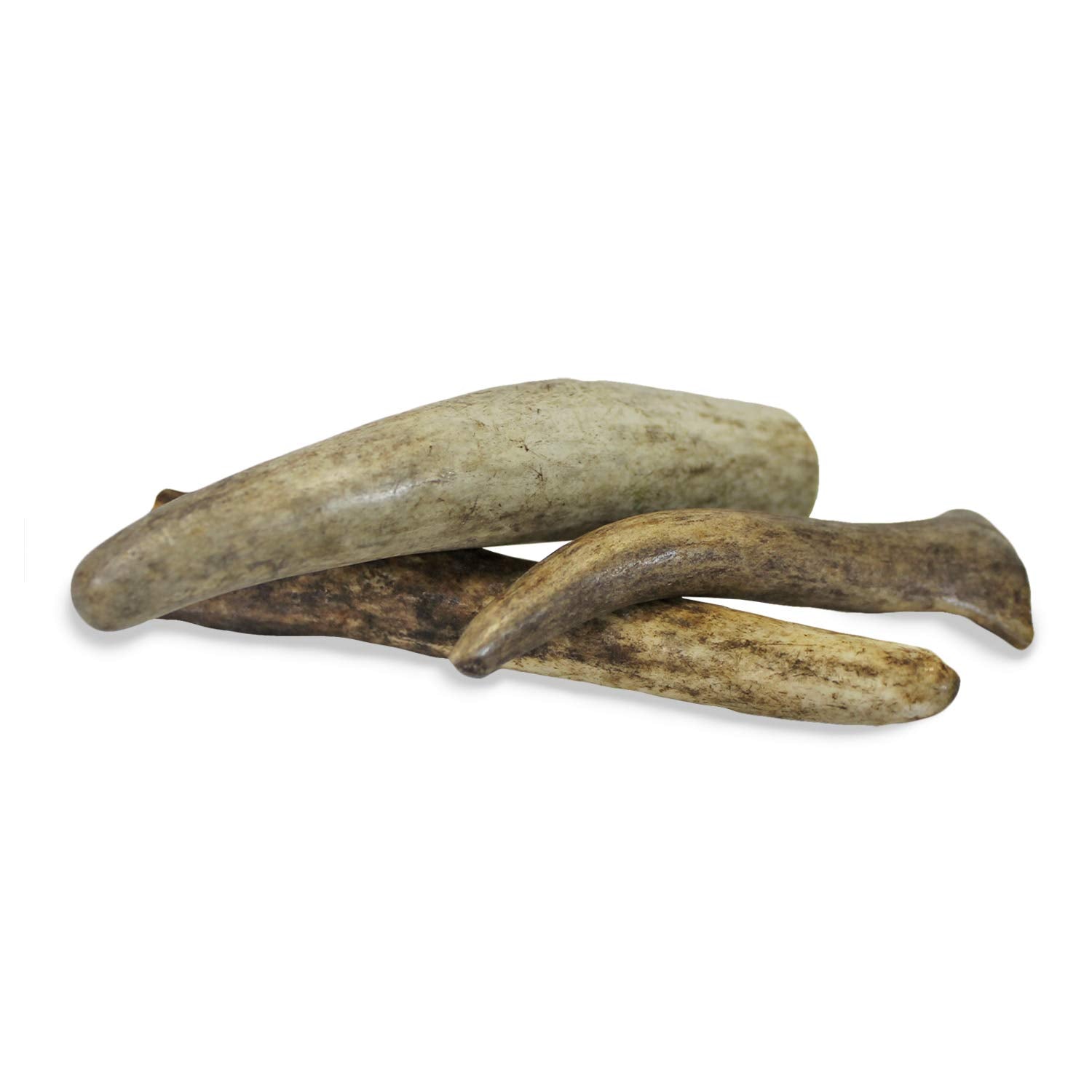 Exotic Nutrition Antler Chews - Safe Small Animal Chew - Natural Source Of Healthy Minerals - Chinchilla, Hamster, Degu, Prairie